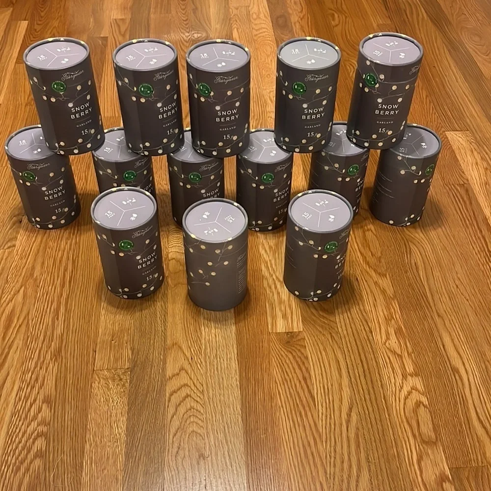 NWT Anthropologie Terrain Stargazer Snowberry Garland 15’